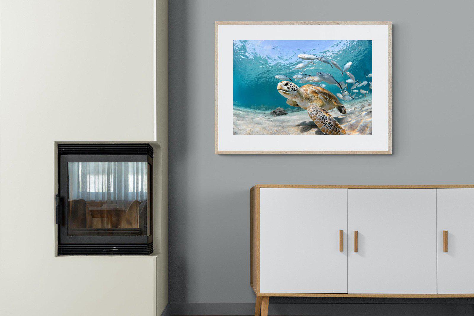 Turtle-Wall_Art-100 x 75cm-Framed Print-Wood-Pixalot