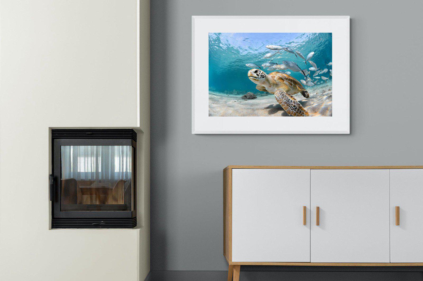 Turtle-Wall_Art-100 x 75cm-Framed Print-White-Pixalot