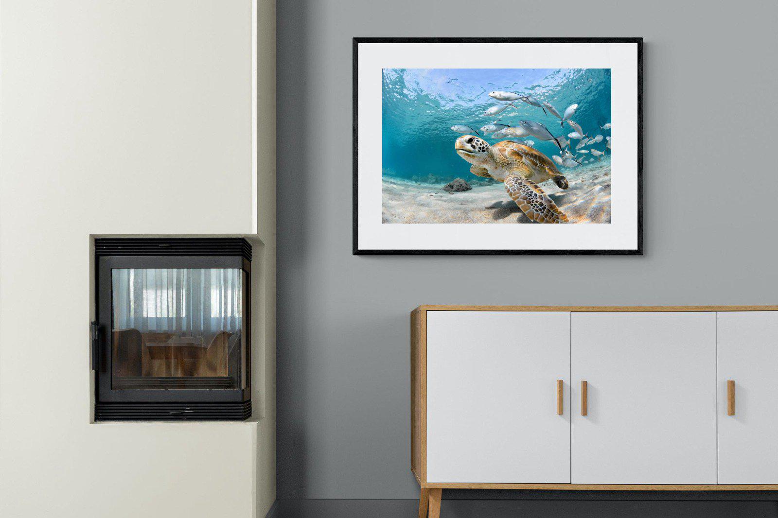 Turtle-Wall_Art-100 x 75cm-Framed Print-Black-Pixalot