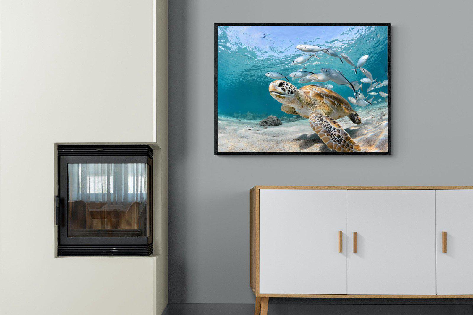 Turtle-Wall_Art-100 x 75cm-Mounted Canvas-Black-Pixalot
