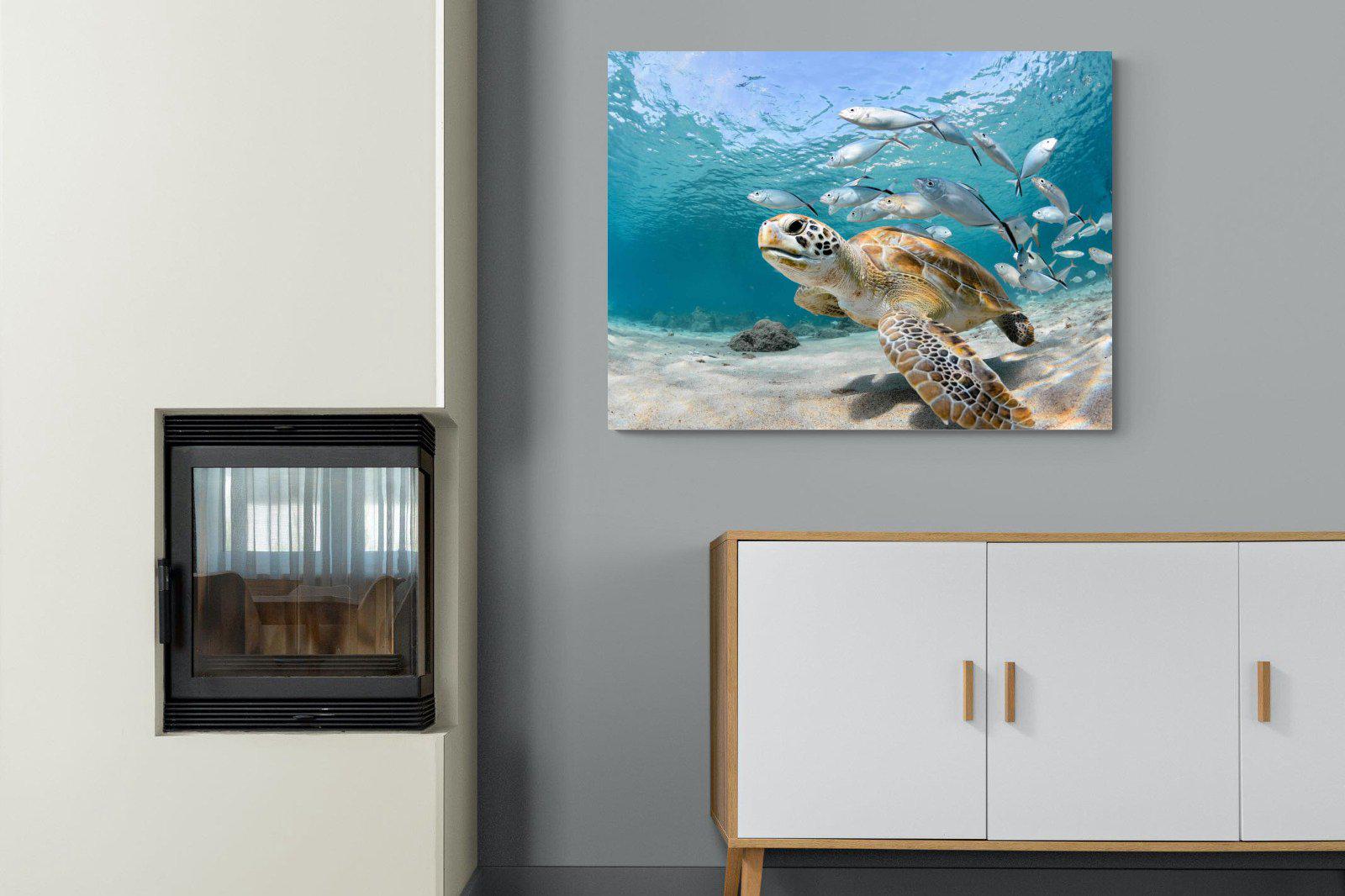 Turtle-Wall_Art-100 x 75cm-Mounted Canvas-No Frame-Pixalot