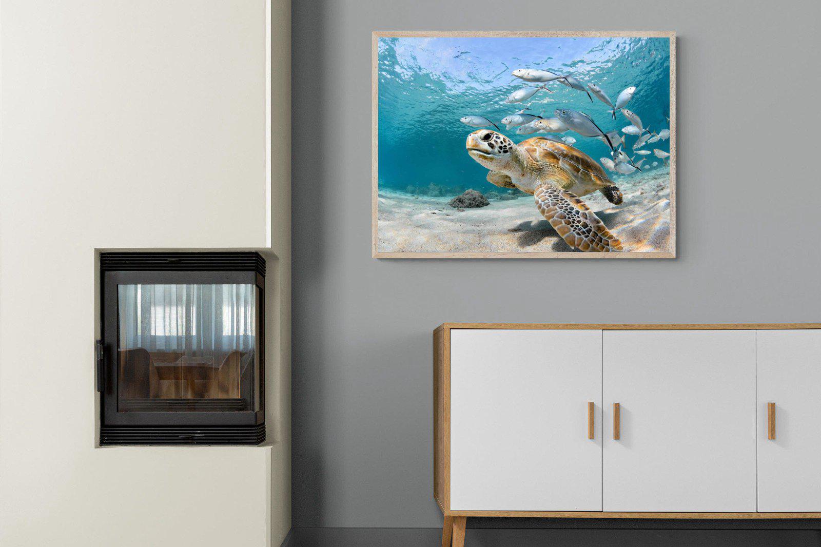 Turtle-Wall_Art-100 x 75cm-Mounted Canvas-Wood-Pixalot