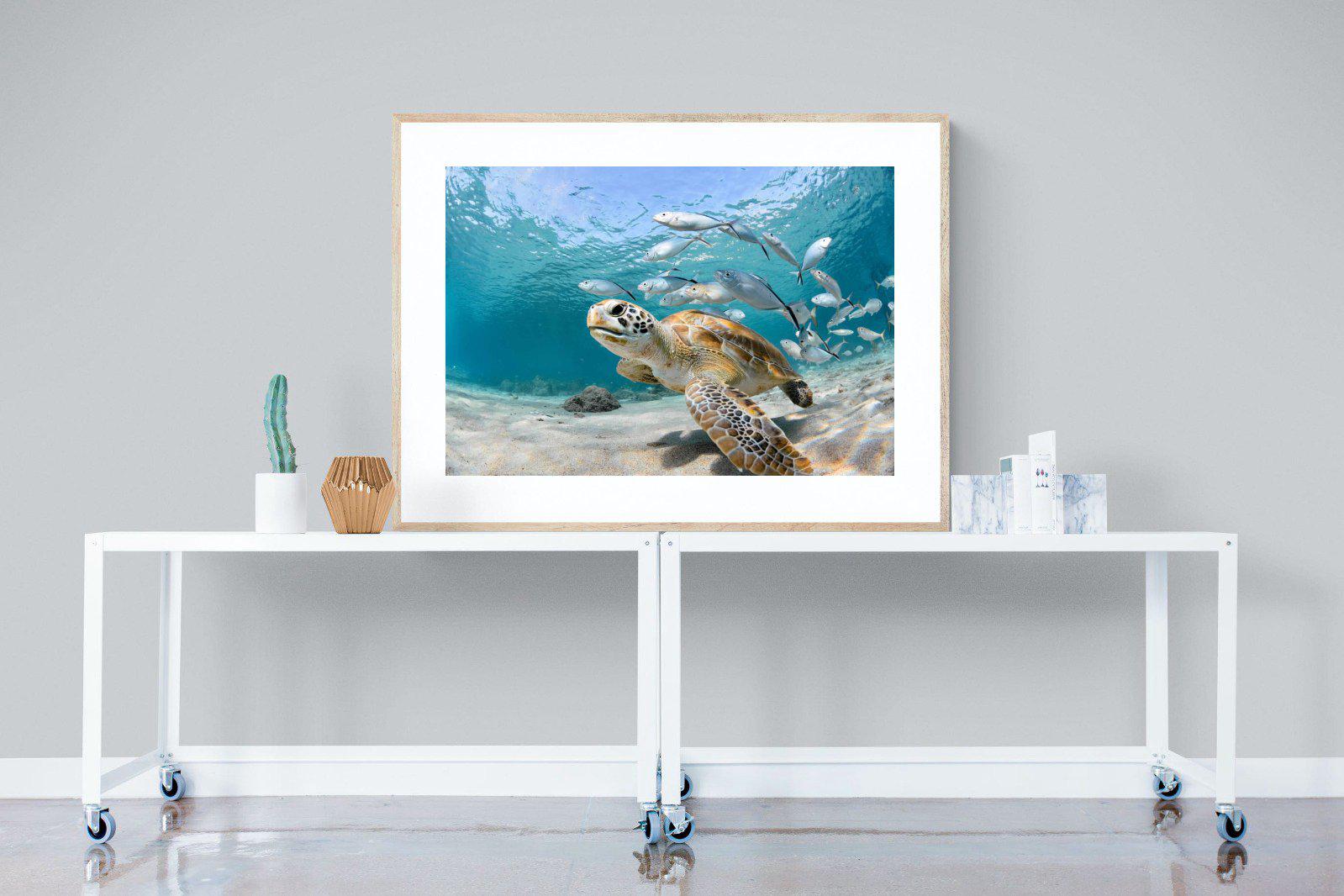 Turtle-Wall_Art-120 x 90cm-Framed Print-Wood-Pixalot