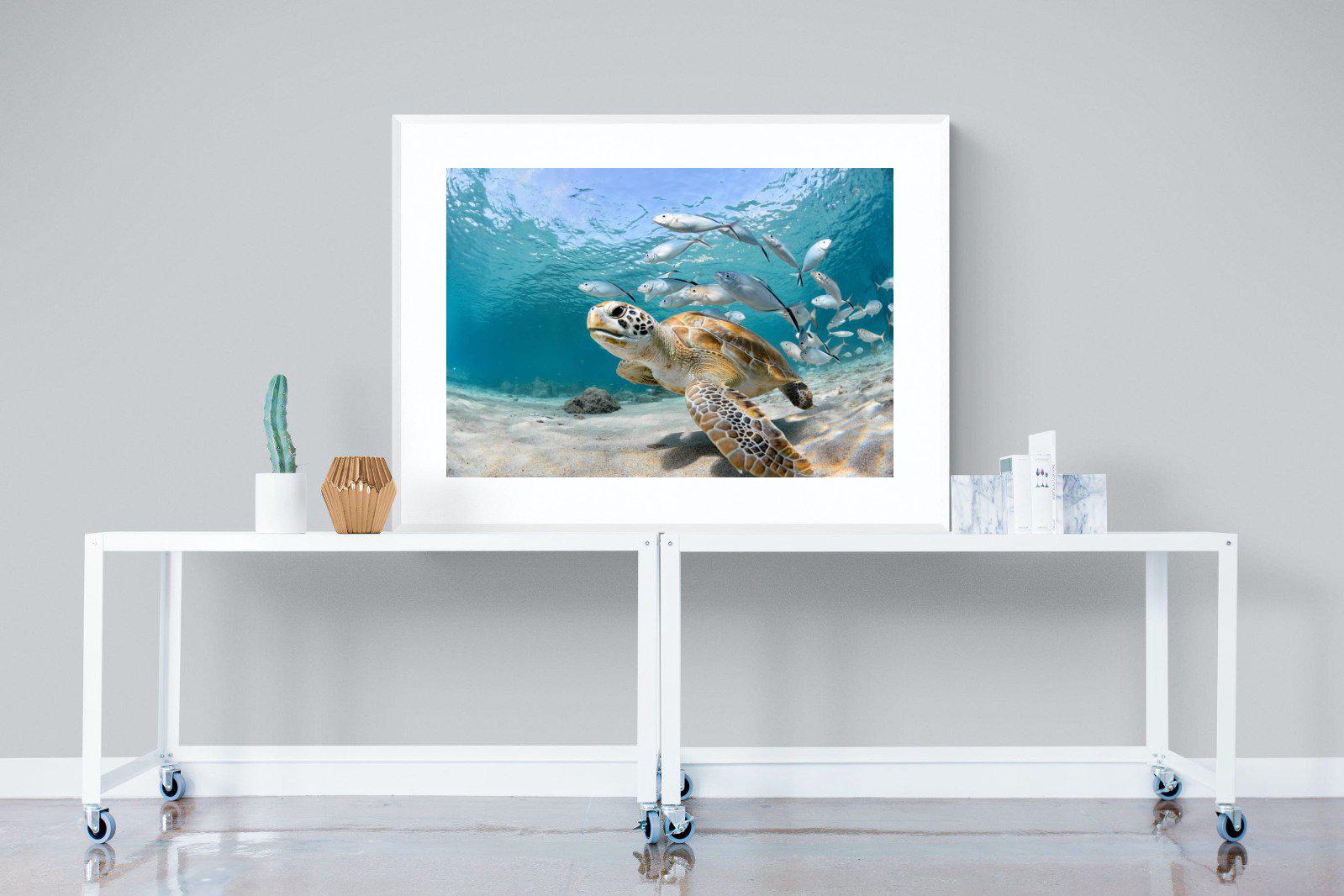 Turtle-Wall_Art-120 x 90cm-Framed Print-White-Pixalot