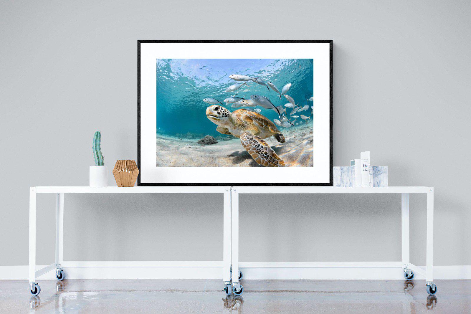 Turtle-Wall_Art-120 x 90cm-Framed Print-Black-Pixalot