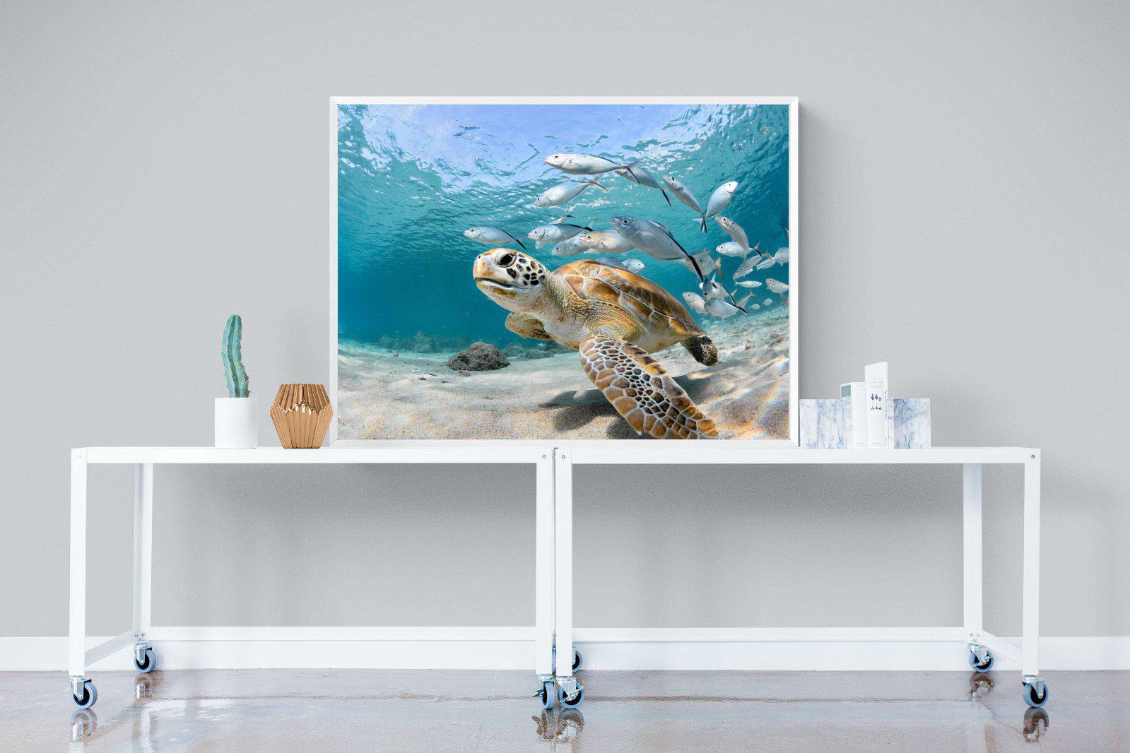 Turtle-Wall_Art-120 x 90cm-Mounted Canvas-White-Pixalot