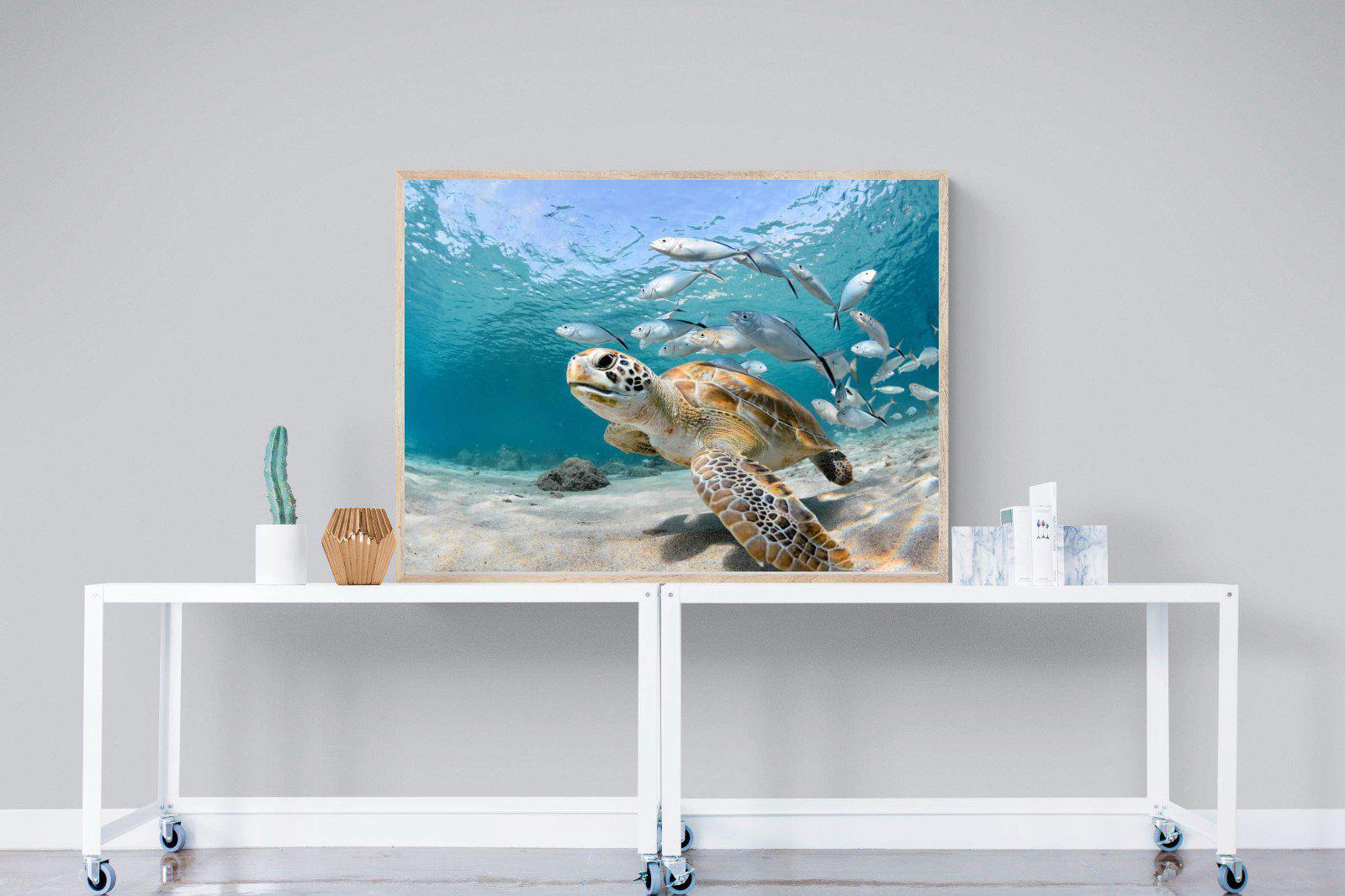 Turtle-Wall_Art-120 x 90cm-Mounted Canvas-Wood-Pixalot