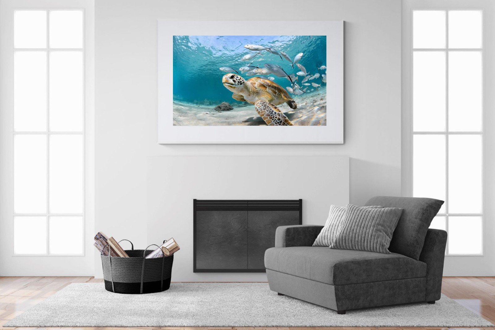 Turtle-Wall_Art-150 x 100cm-Framed Print-White-Pixalot