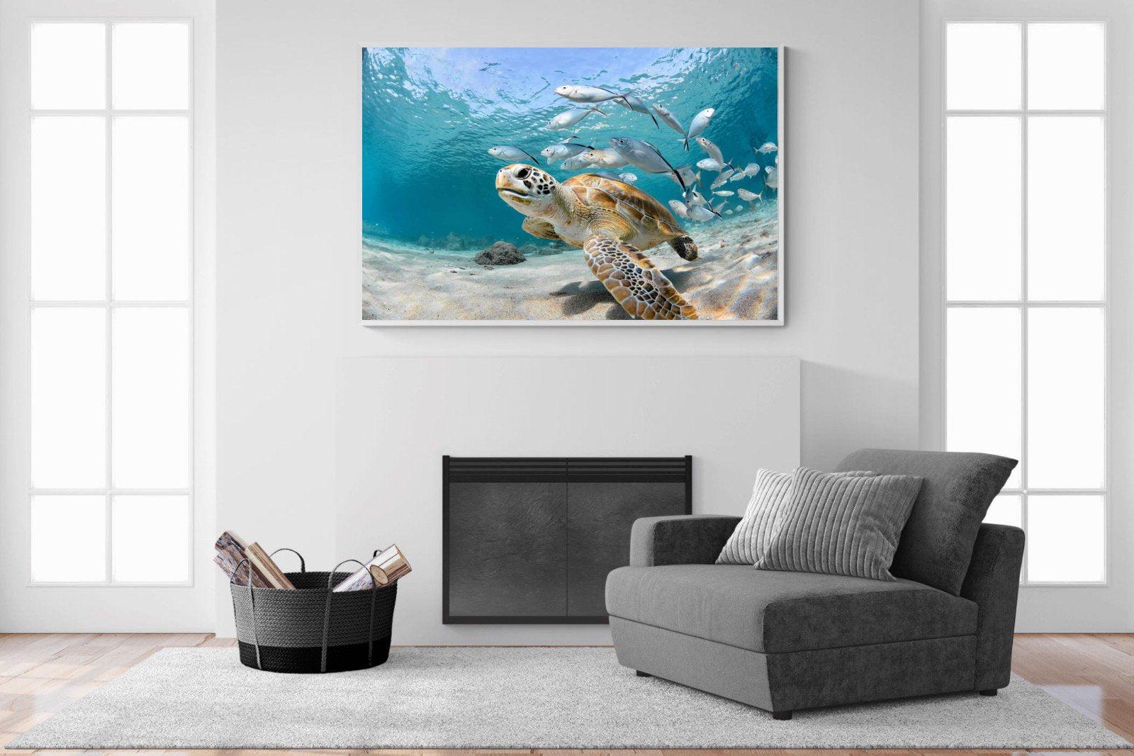 Turtle-Wall_Art-150 x 100cm-Mounted Canvas-White-Pixalot