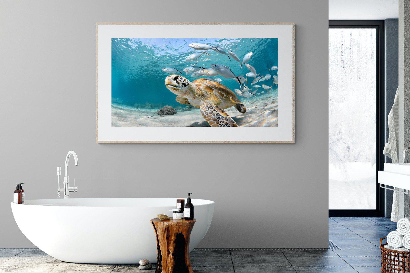 Turtle-Wall_Art-180 x 110cm-Framed Print-Wood-Pixalot