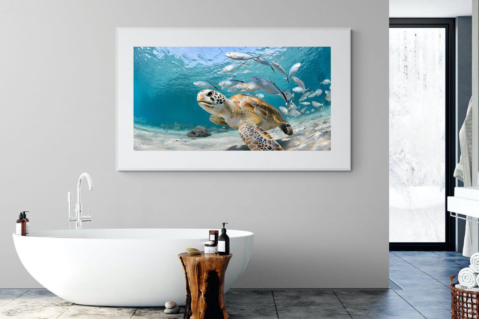 Turtle-Wall_Art-180 x 110cm-Framed Print-White-Pixalot