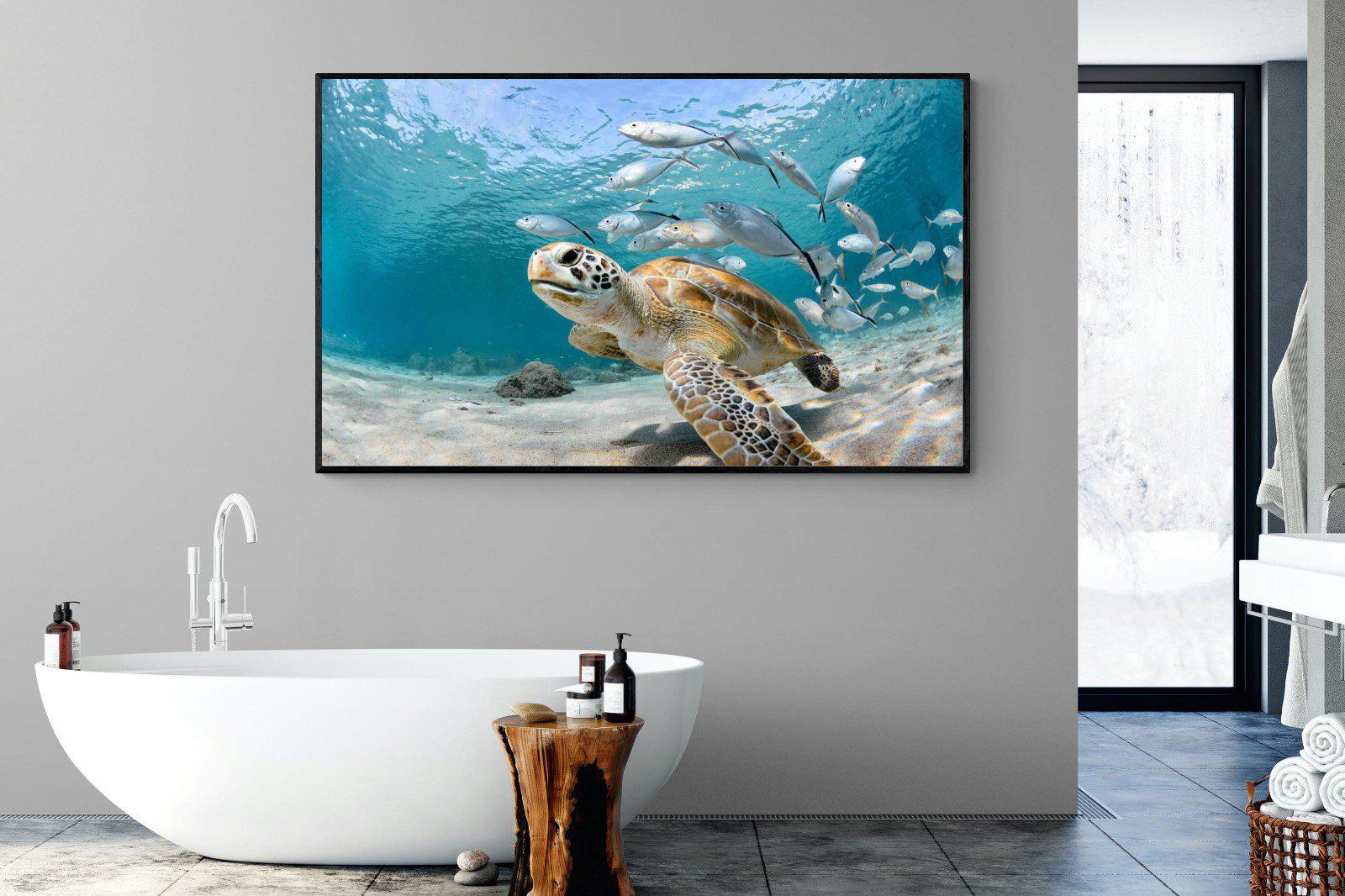 Turtle-Wall_Art-180 x 110cm-Mounted Canvas-Black-Pixalot