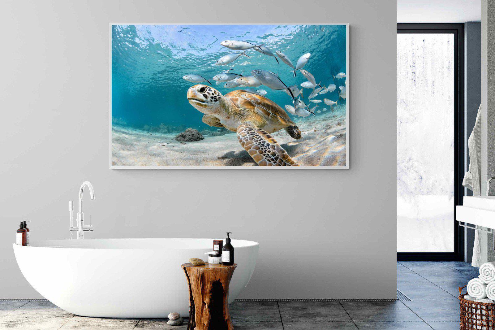 Turtle-Wall_Art-180 x 110cm-Mounted Canvas-White-Pixalot