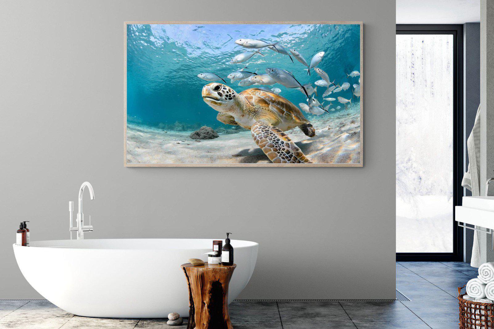 Turtle-Wall_Art-180 x 110cm-Mounted Canvas-Wood-Pixalot