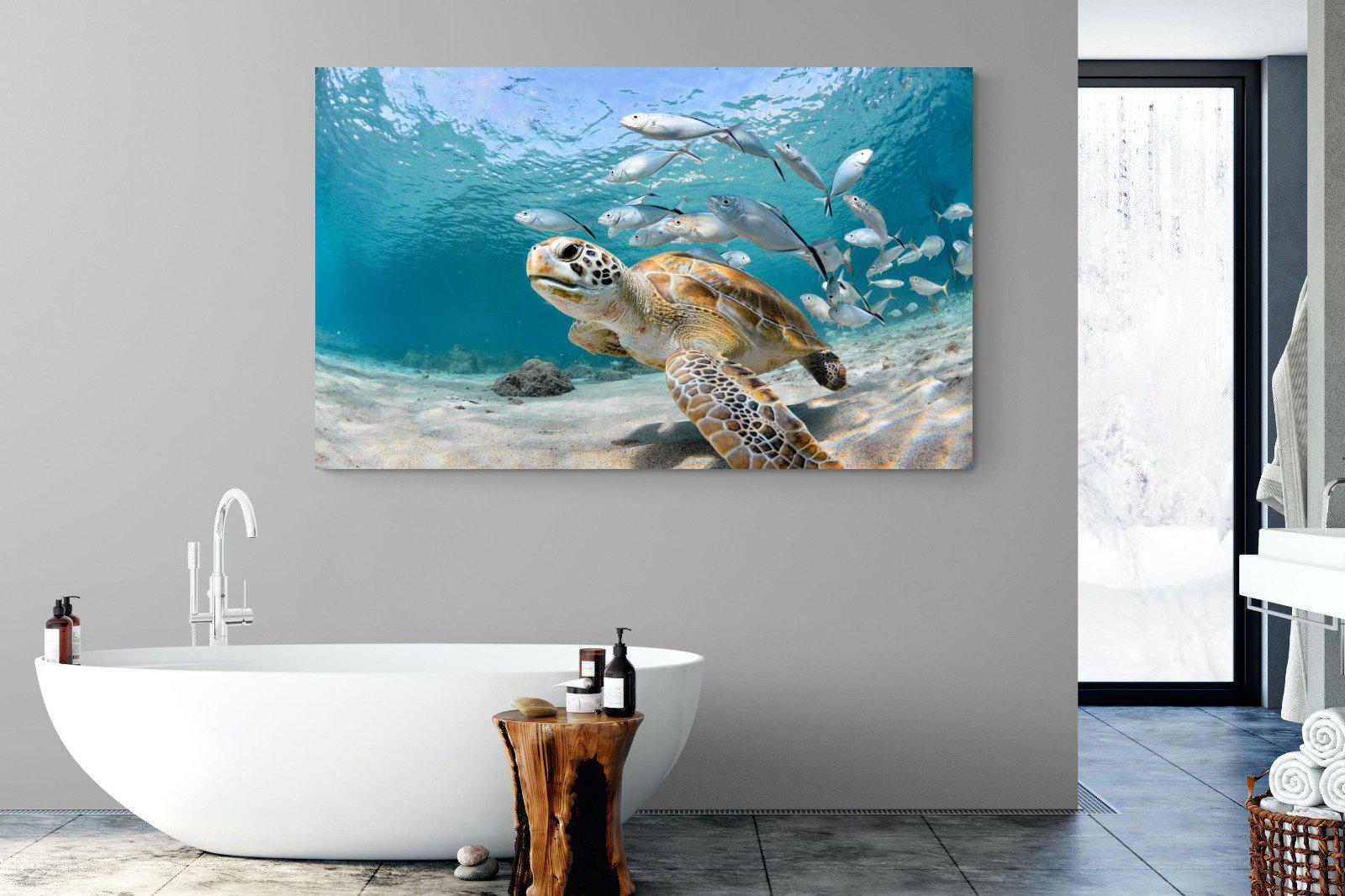 Turtle-Wall_Art-180 x 110cm-Mounted Canvas-No Frame-Pixalot