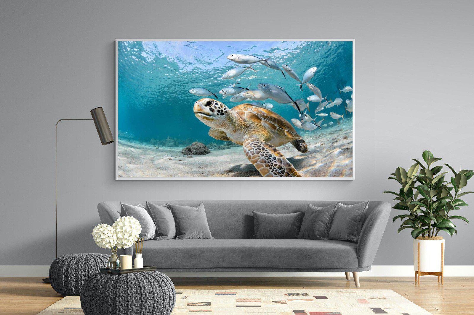 Turtle-Wall_Art-220 x 130cm-Mounted Canvas-White-Pixalot