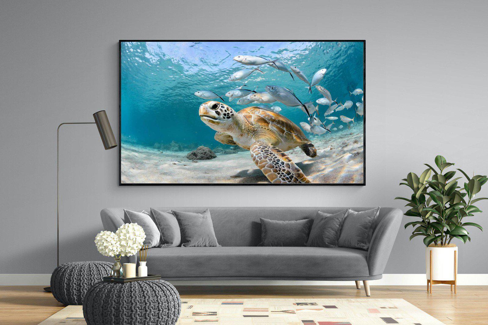 Turtle-Wall_Art-220 x 130cm-Mounted Canvas-Black-Pixalot