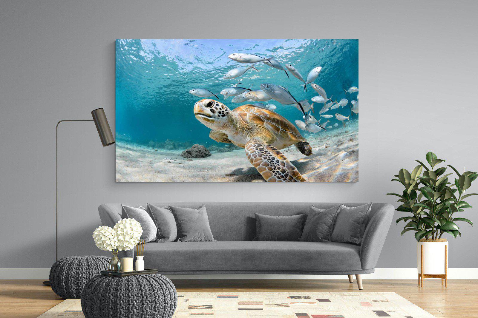 Turtle-Wall_Art-220 x 130cm-Mounted Canvas-No Frame-Pixalot