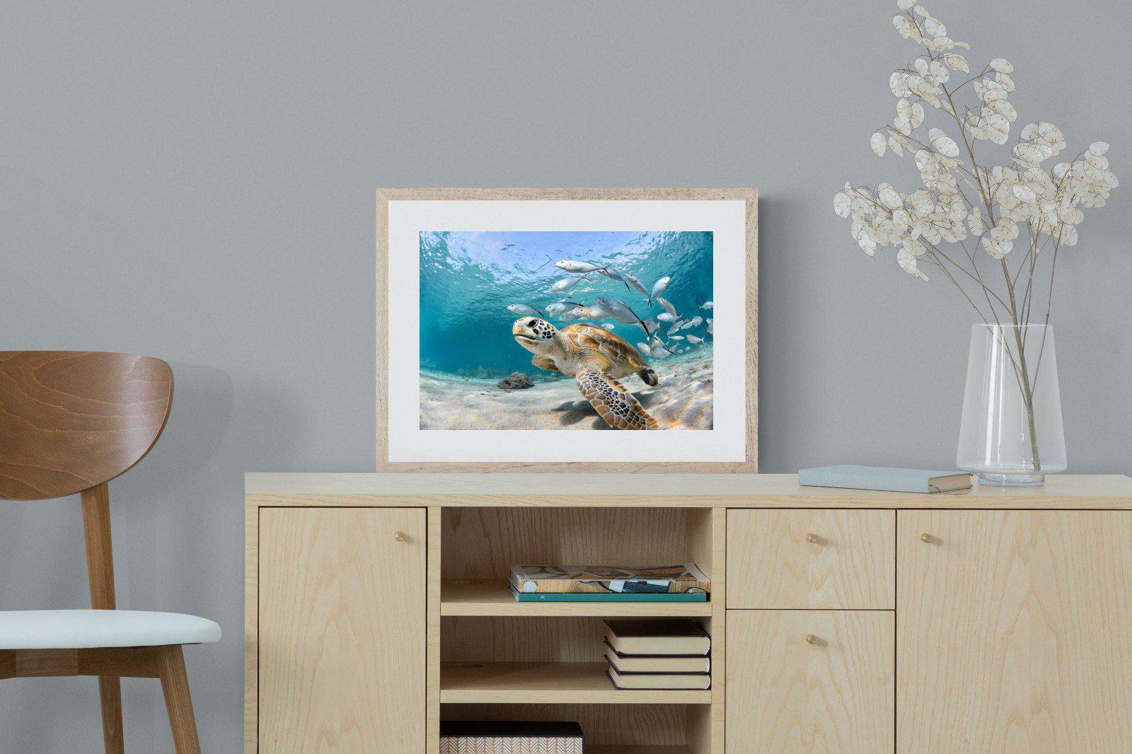 Turtle-Wall_Art-60 x 45cm-Framed Print-Wood-Pixalot