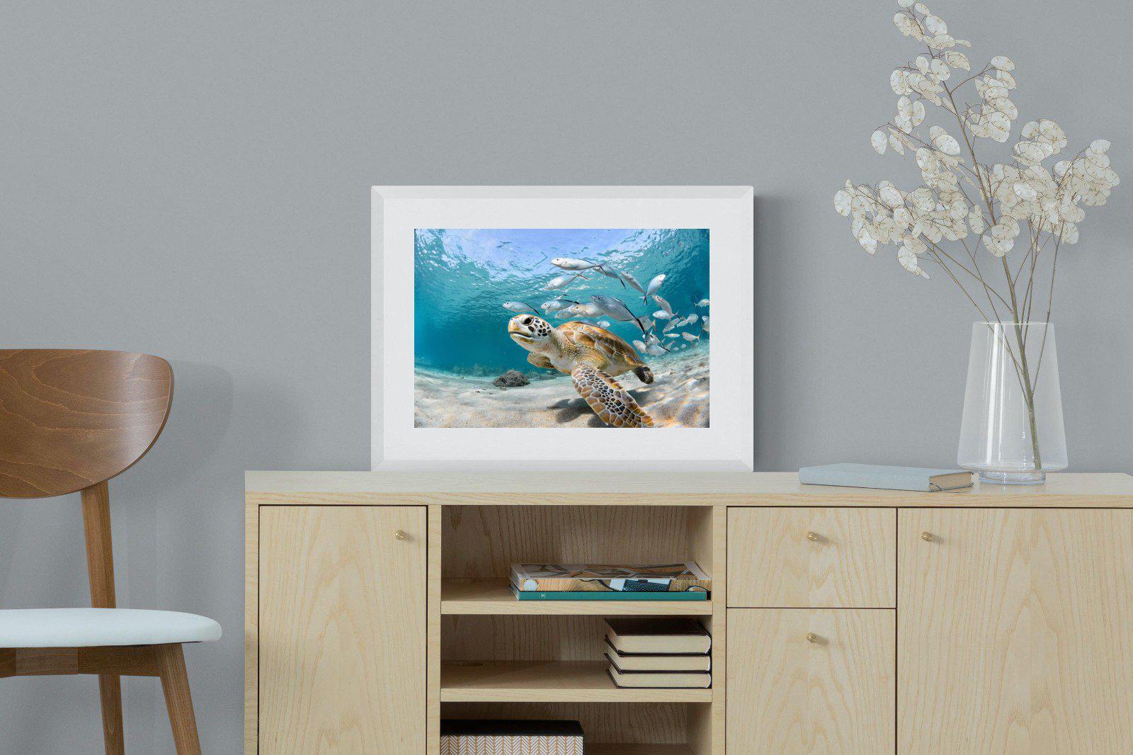 Turtle-Wall_Art-60 x 45cm-Framed Print-White-Pixalot