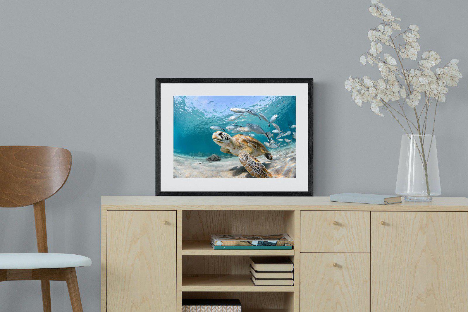 Turtle-Wall_Art-60 x 45cm-Framed Print-Black-Pixalot
