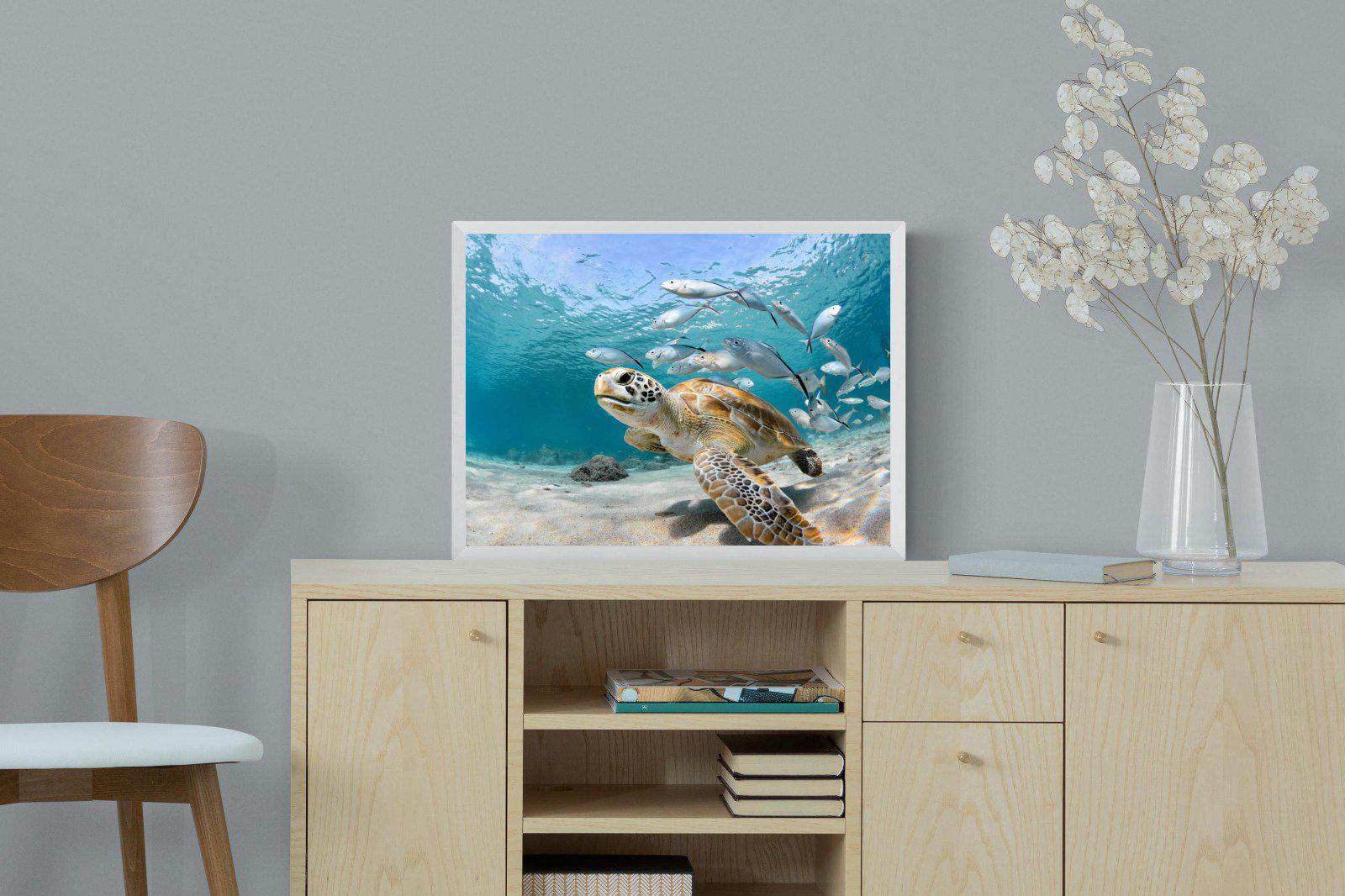 Turtle-Wall_Art-60 x 45cm-Mounted Canvas-White-Pixalot