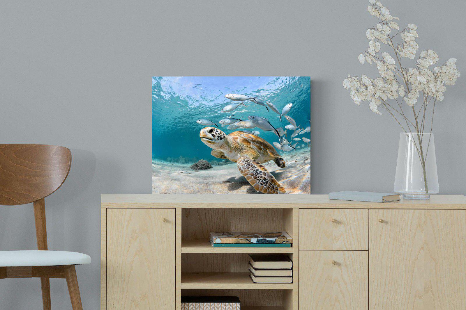 Turtle-Wall_Art-60 x 45cm-Mounted Canvas-No Frame-Pixalot