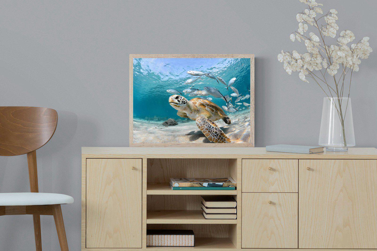 Turtle-Wall_Art-60 x 45cm-Mounted Canvas-Wood-Pixalot