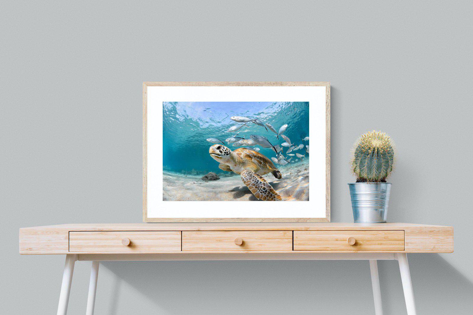 Turtle-Wall_Art-80 x 60cm-Framed Print-Wood-Pixalot
