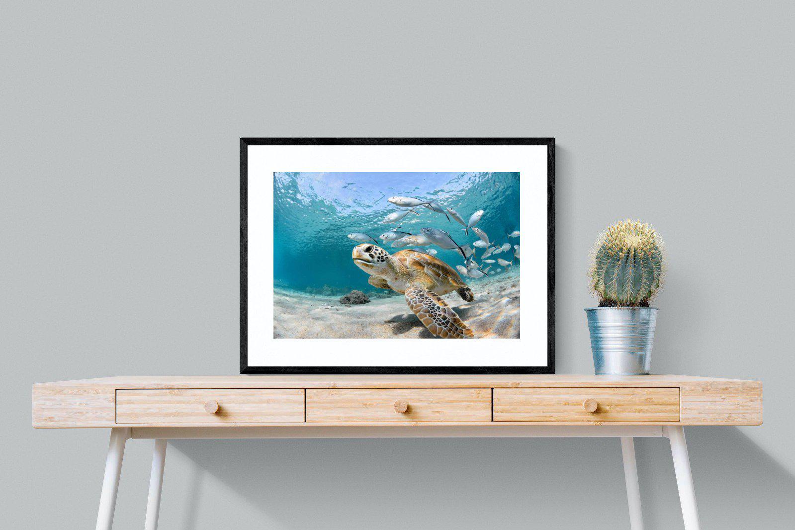 Turtle-Wall_Art-80 x 60cm-Framed Print-Black-Pixalot