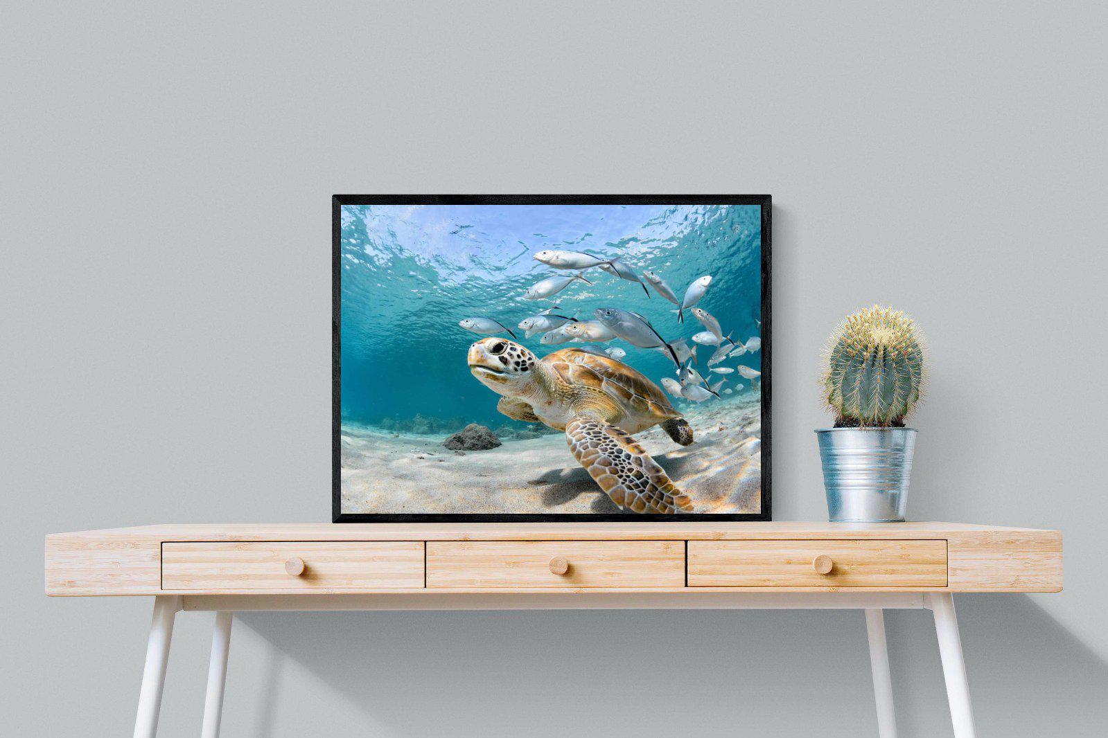 Turtle-Wall_Art-80 x 60cm-Mounted Canvas-Black-Pixalot