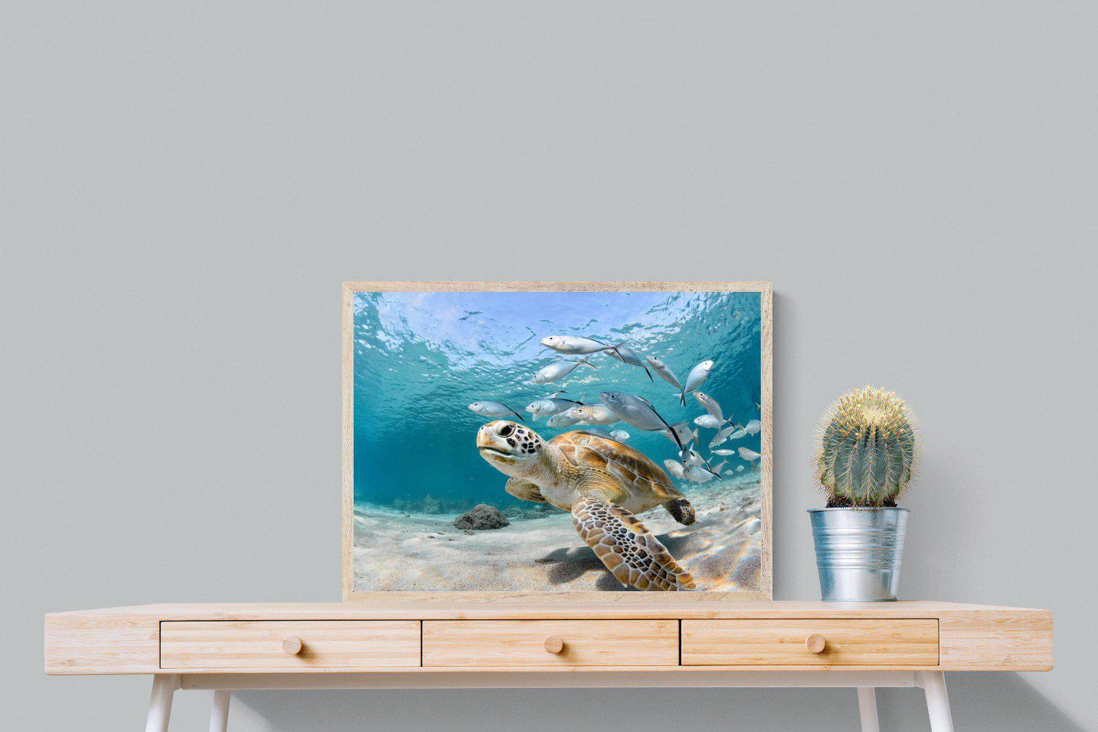 Turtle-Wall_Art-80 x 60cm-Mounted Canvas-Wood-Pixalot