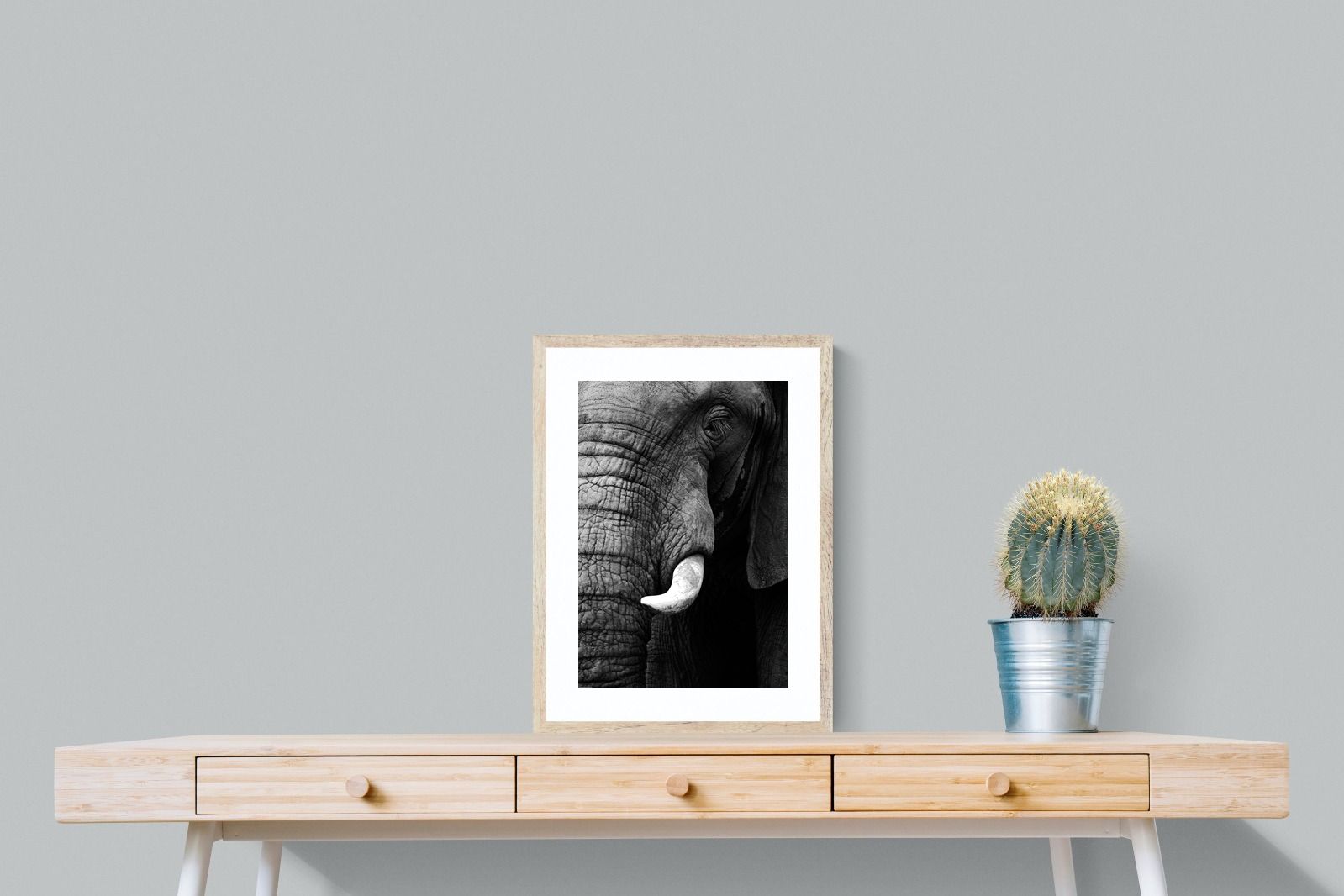 Tusker-Wall_Art-45 x 60cm-Framed Print-Wood-Pixalot