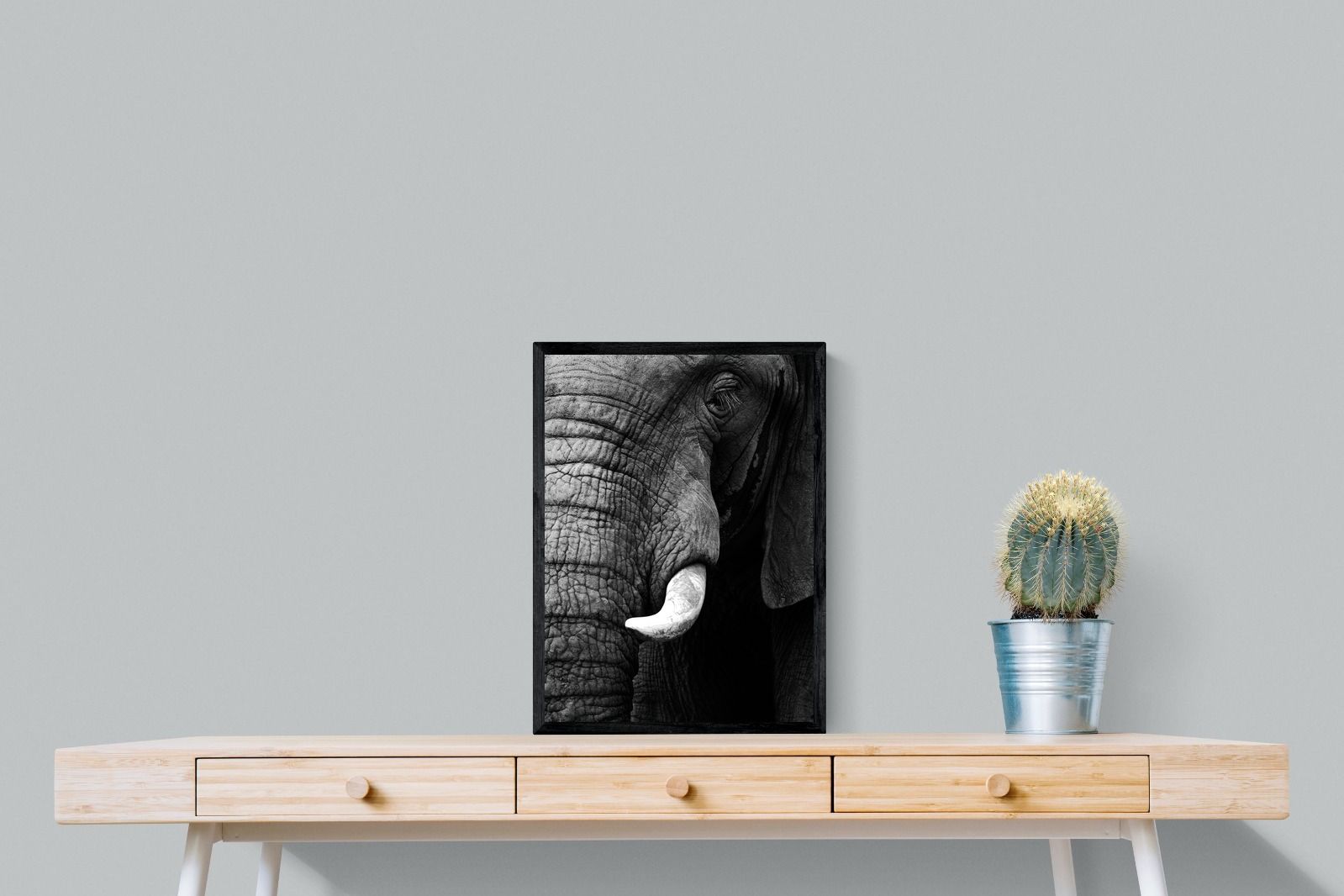 Tusker-Wall_Art-45 x 60cm-Mounted Canvas-Black-Pixalot