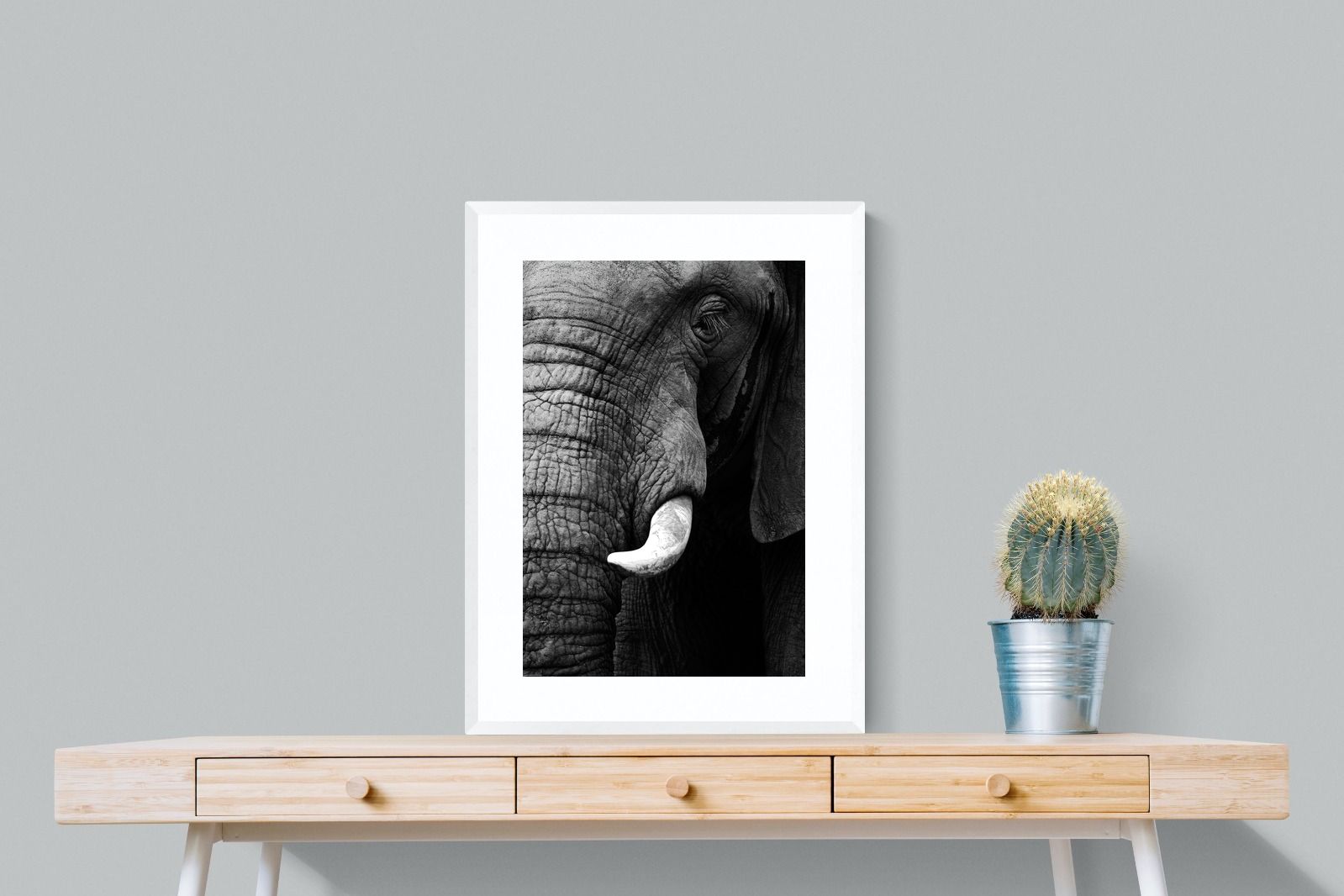 Tusker-Wall_Art-60 x 80cm-Framed Print-White-Pixalot