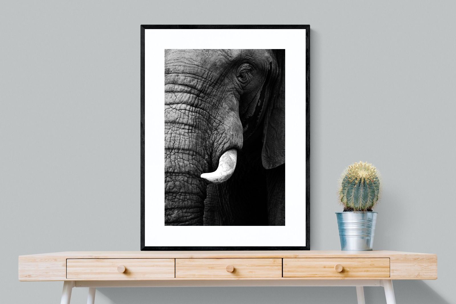 Tusker-Wall_Art-75 x 100cm-Framed Print-Black-Pixalot