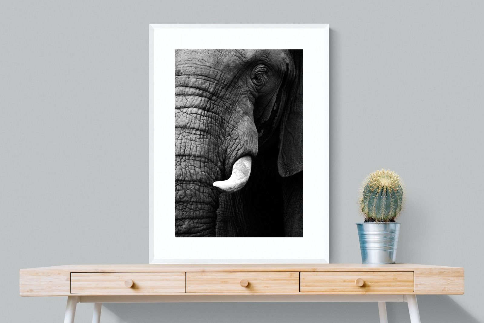 Tusker-Wall_Art-75 x 100cm-Framed Print-White-Pixalot
