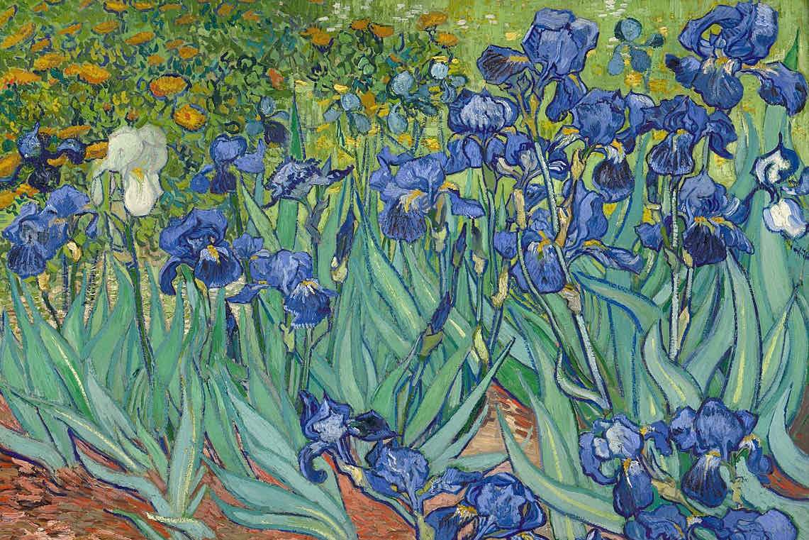 Van Gogh Irises-Wall_Art-Pixalot