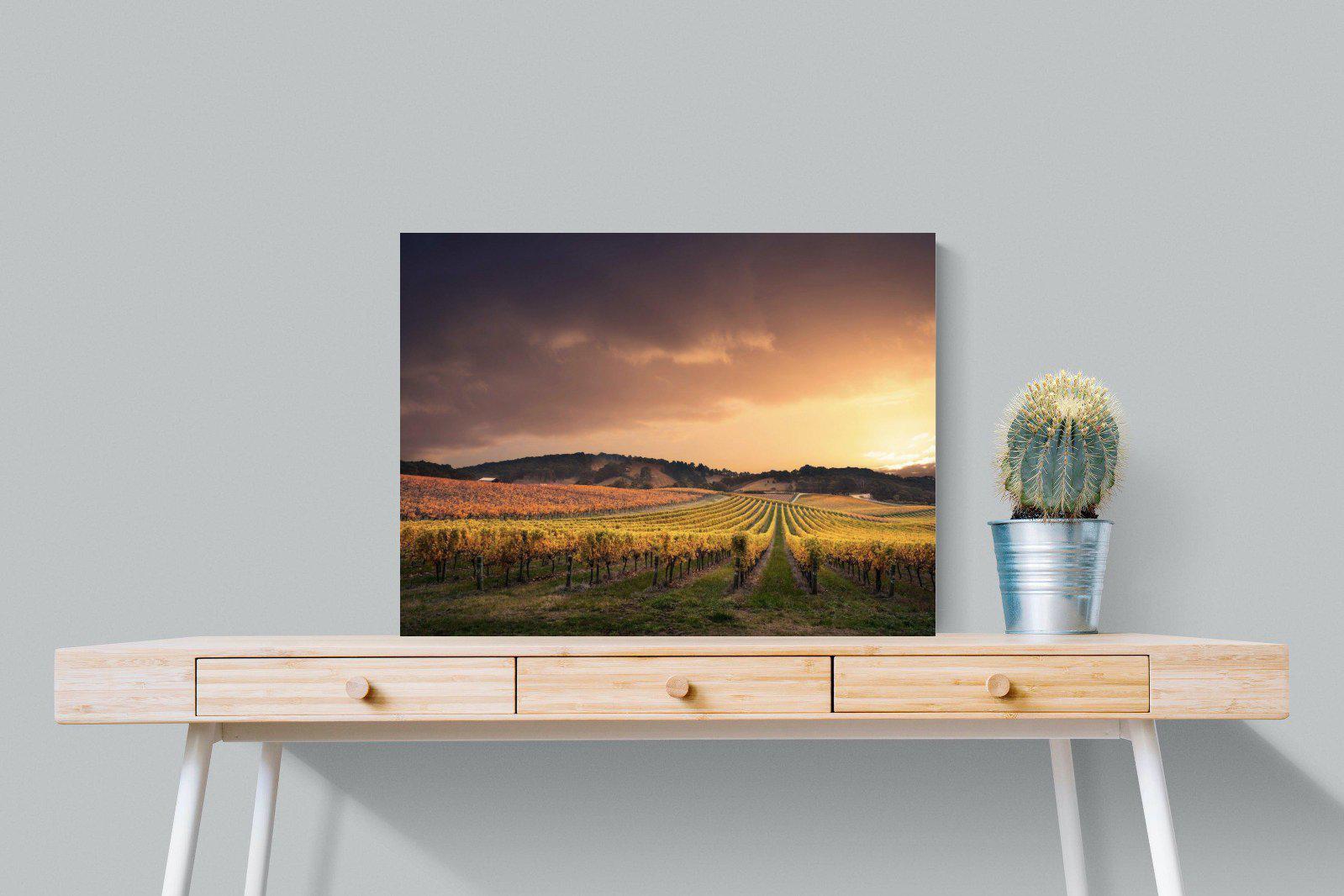 Vineyards-Wall_Art-80 x 60cm-Mounted Canvas-No Frame-Pixalot