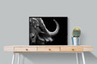 Water Buffalo-Wall_Art-80 x 60cm-Mounted Canvas-Black-Pixalot