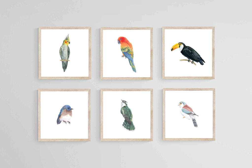 Watercolour Birds Set-Wall_Art-40 x 40cm (x6)-Mounted Canvas-Wood-Pixalot