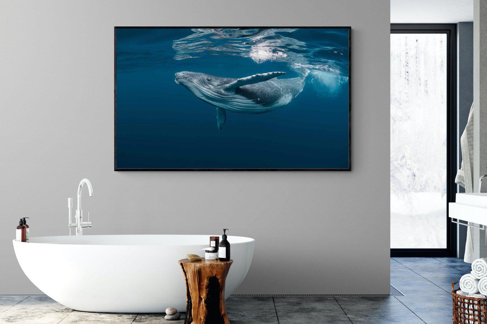 Whale-Wall_Art-180 x 110cm-Mounted Canvas-Black-Pixalot