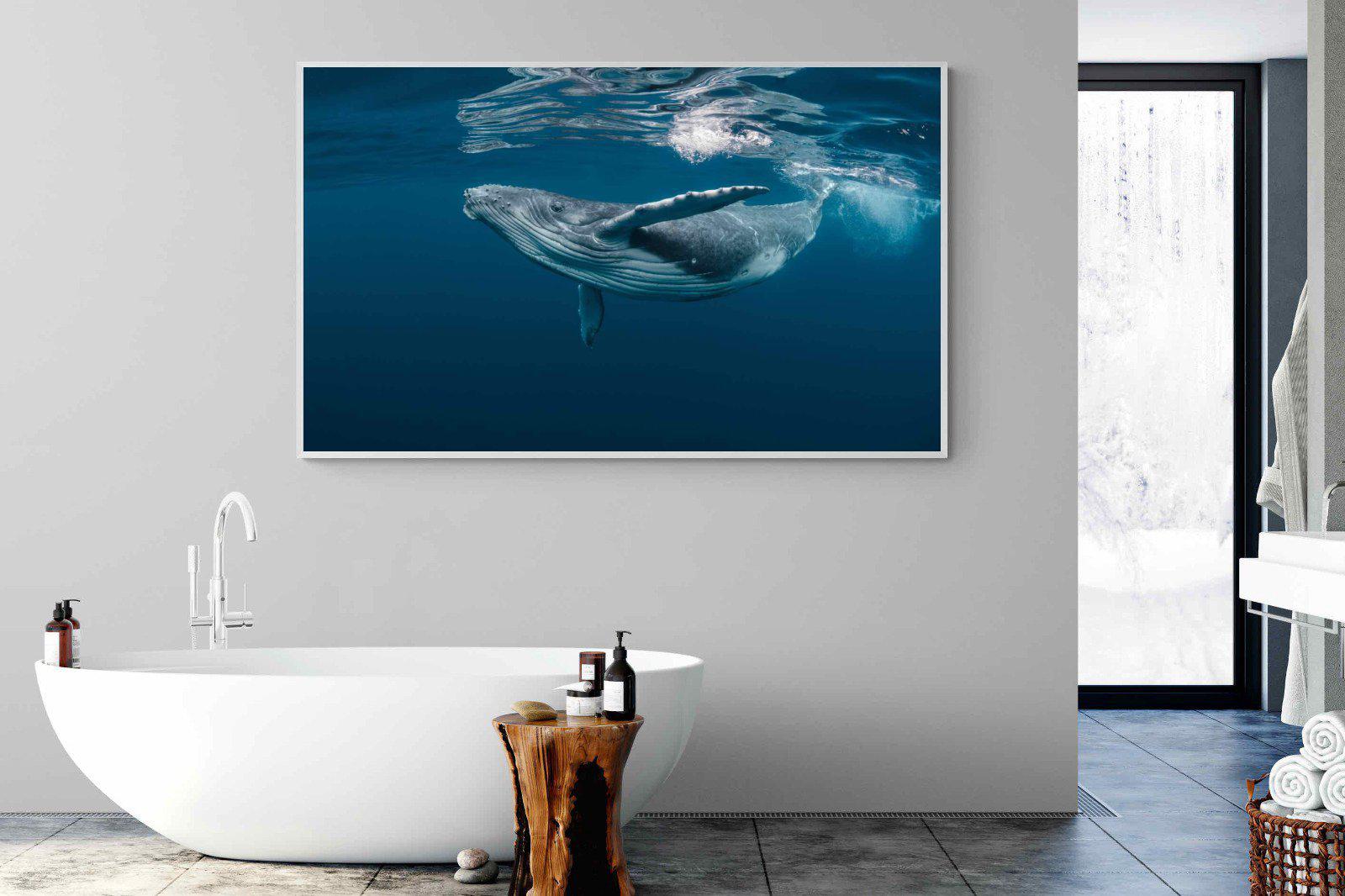 Whale-Wall_Art-180 x 110cm-Mounted Canvas-White-Pixalot