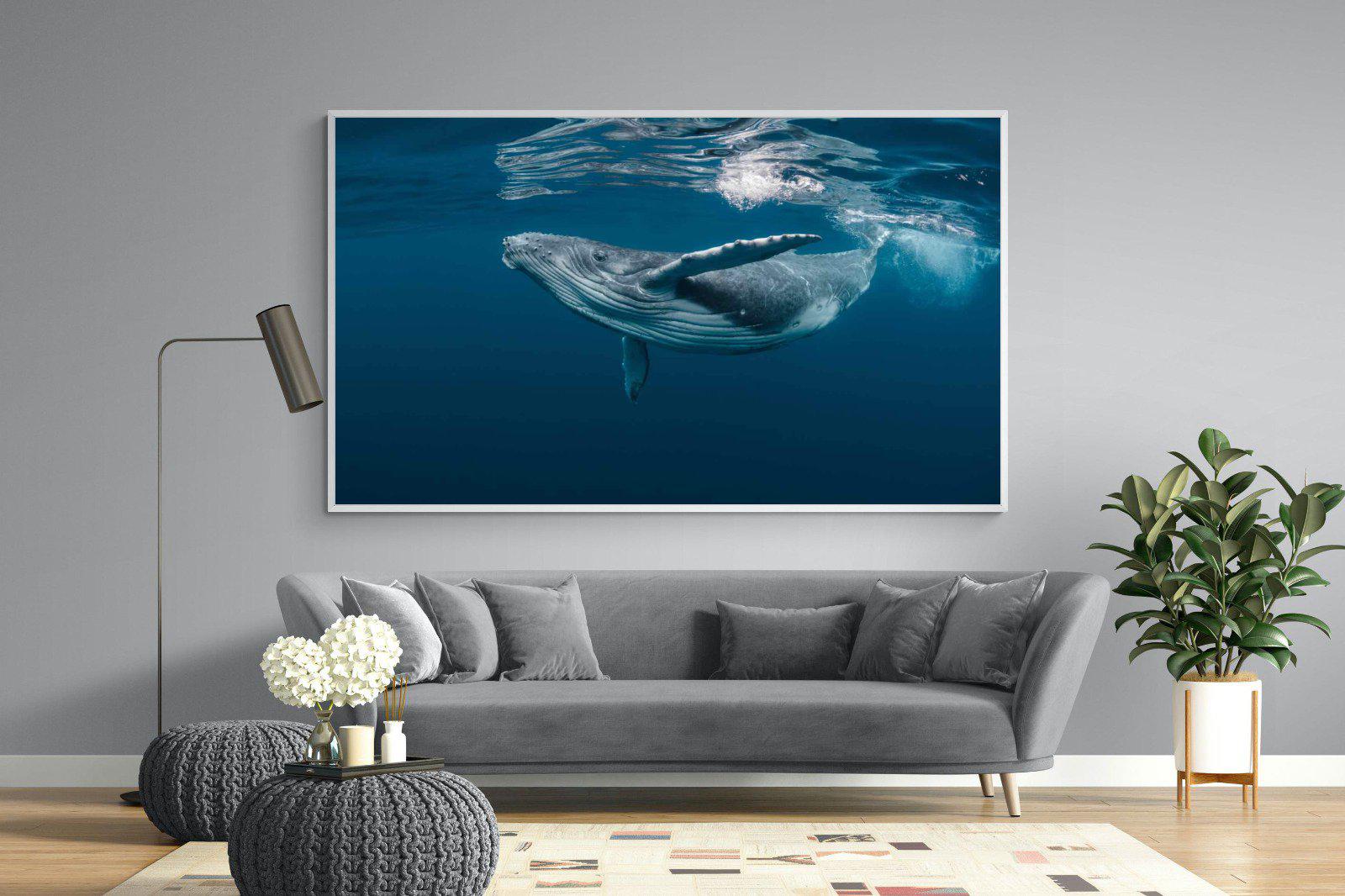 Whale-Wall_Art-220 x 130cm-Mounted Canvas-White-Pixalot