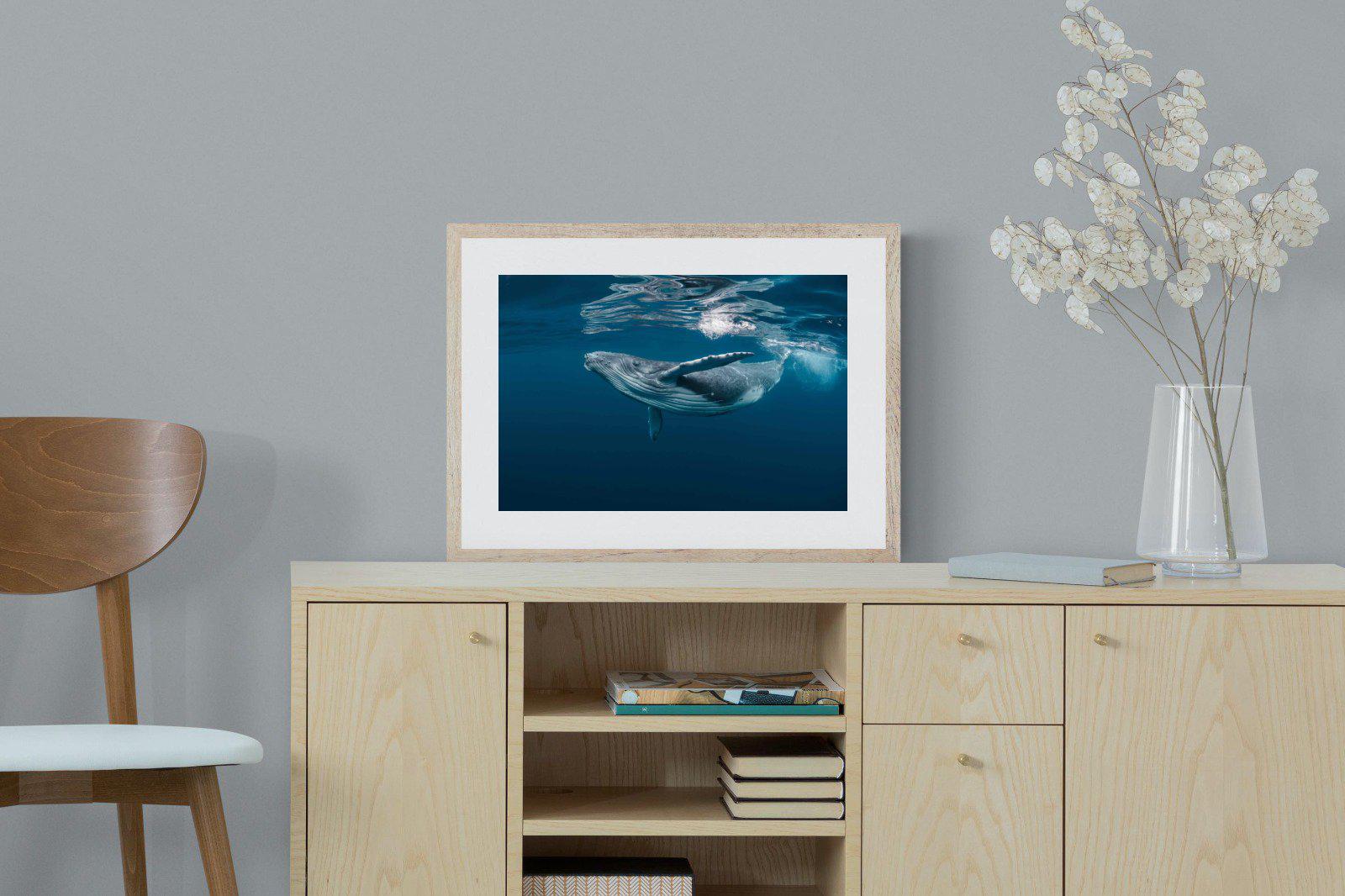 Whale-Wall_Art-60 x 45cm-Framed Print-Wood-Pixalot