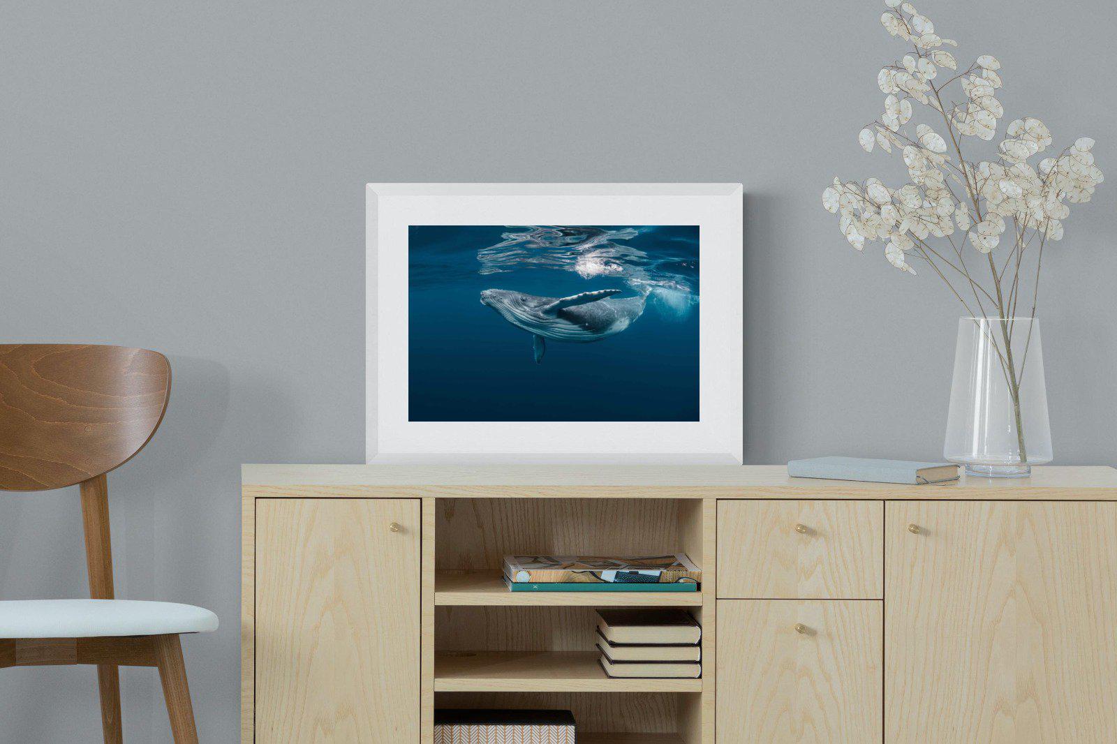 Whale-Wall_Art-60 x 45cm-Framed Print-White-Pixalot