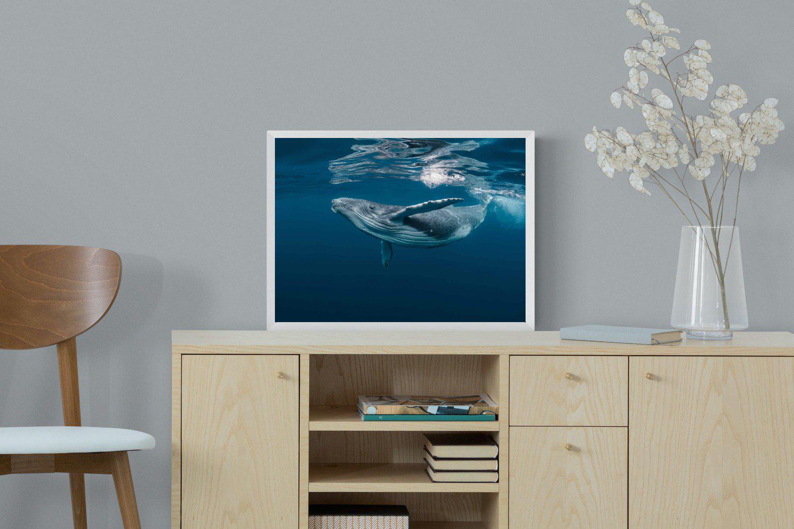 Whale-Wall_Art-60 x 45cm-Mounted Canvas-White-Pixalot