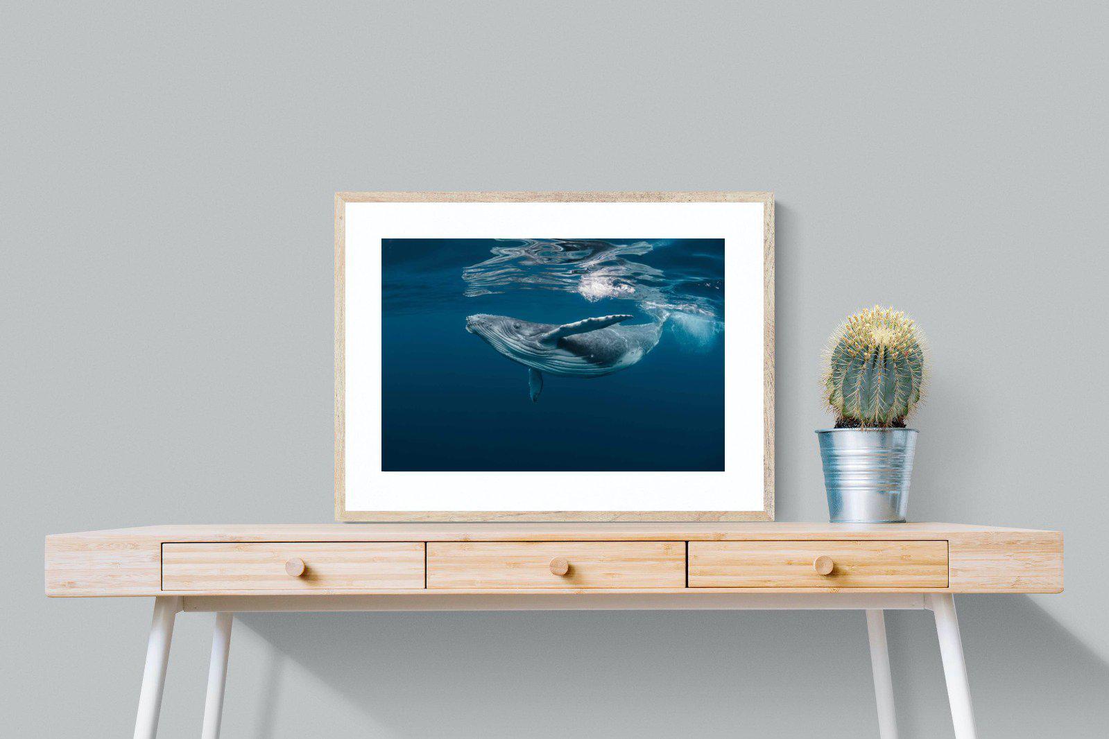 Whale-Wall_Art-80 x 60cm-Framed Print-Wood-Pixalot