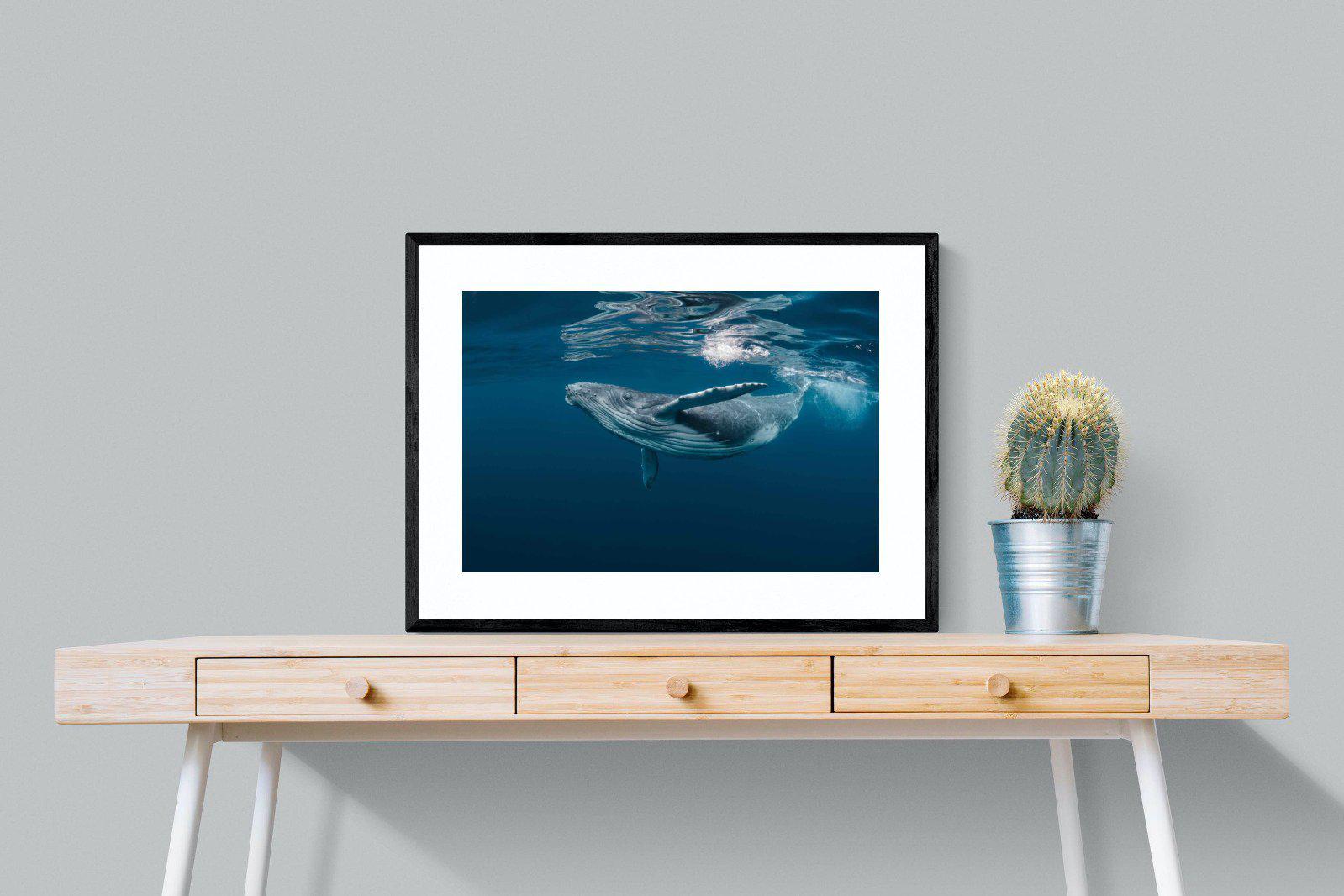Whale-Wall_Art-80 x 60cm-Framed Print-Black-Pixalot