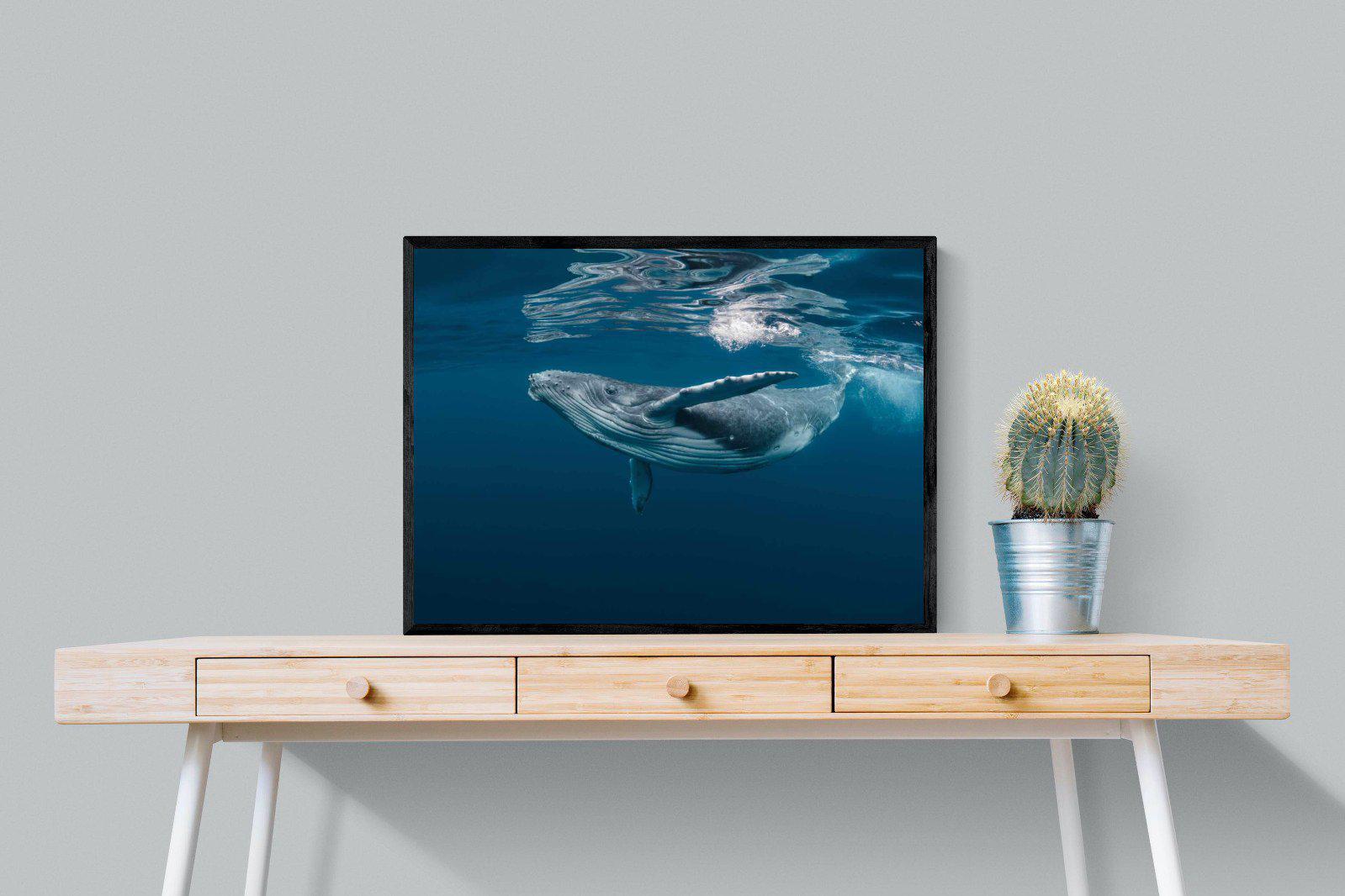 Whale-Wall_Art-80 x 60cm-Mounted Canvas-Black-Pixalot